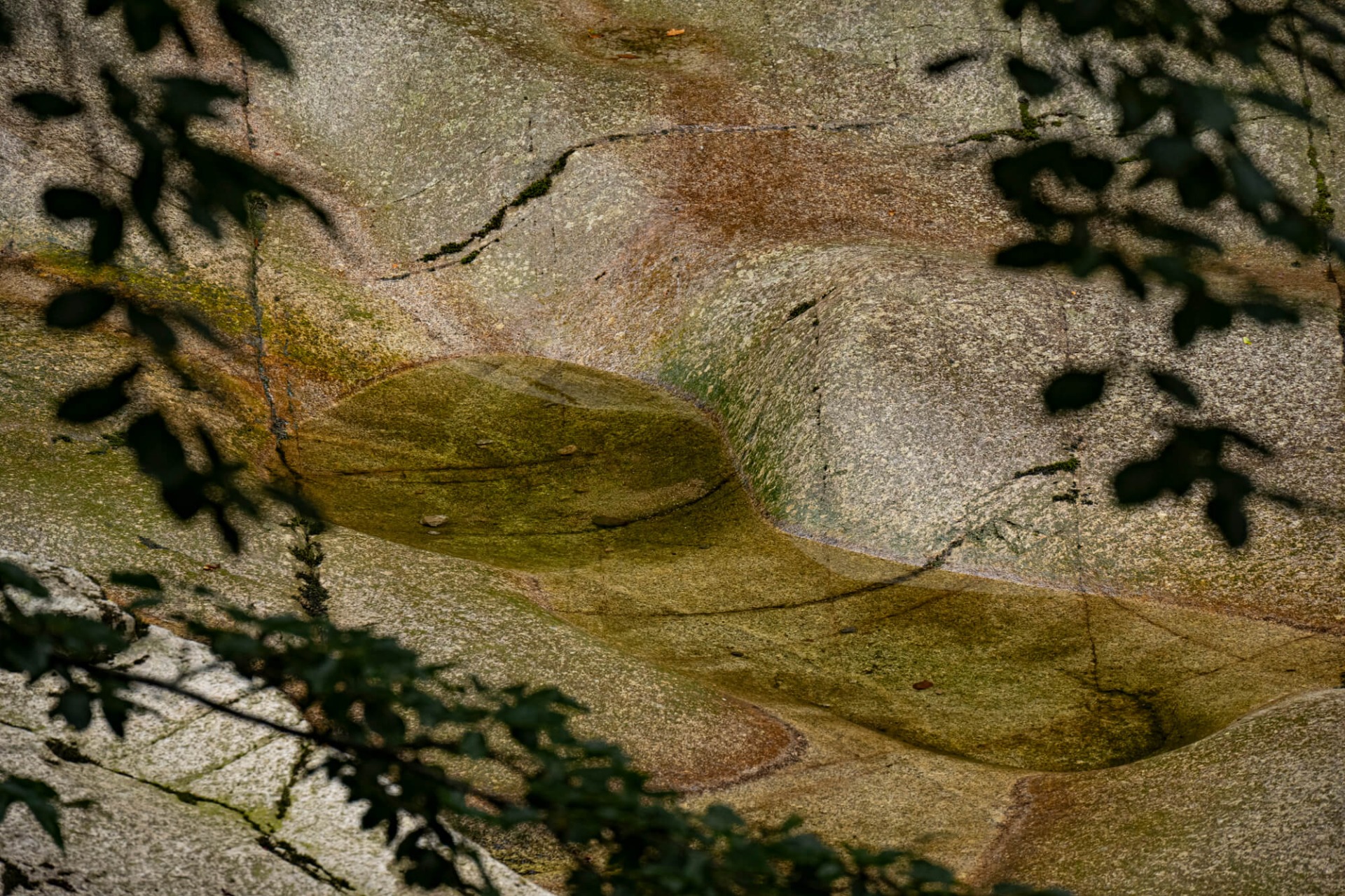 Verwitterter Stein mit Rissen und Moosflecken, teilweise von Schatten und Unschärfe durch Pflanzen verdeckt.