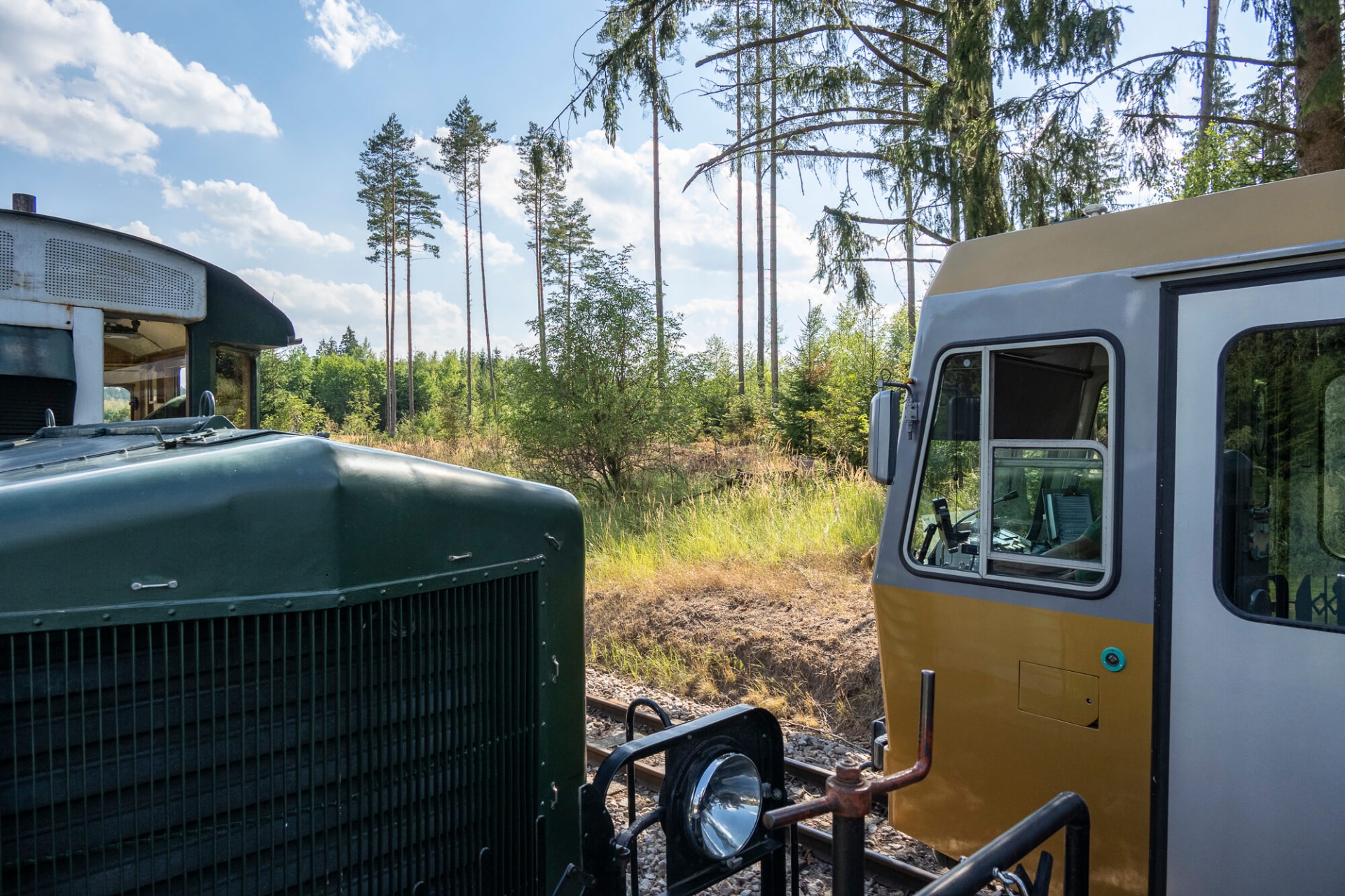 Zwei historische Fahrzeuge stehen auf Schienen im Wald, umgeben von hohen Kiefern und grünem Unterholz.