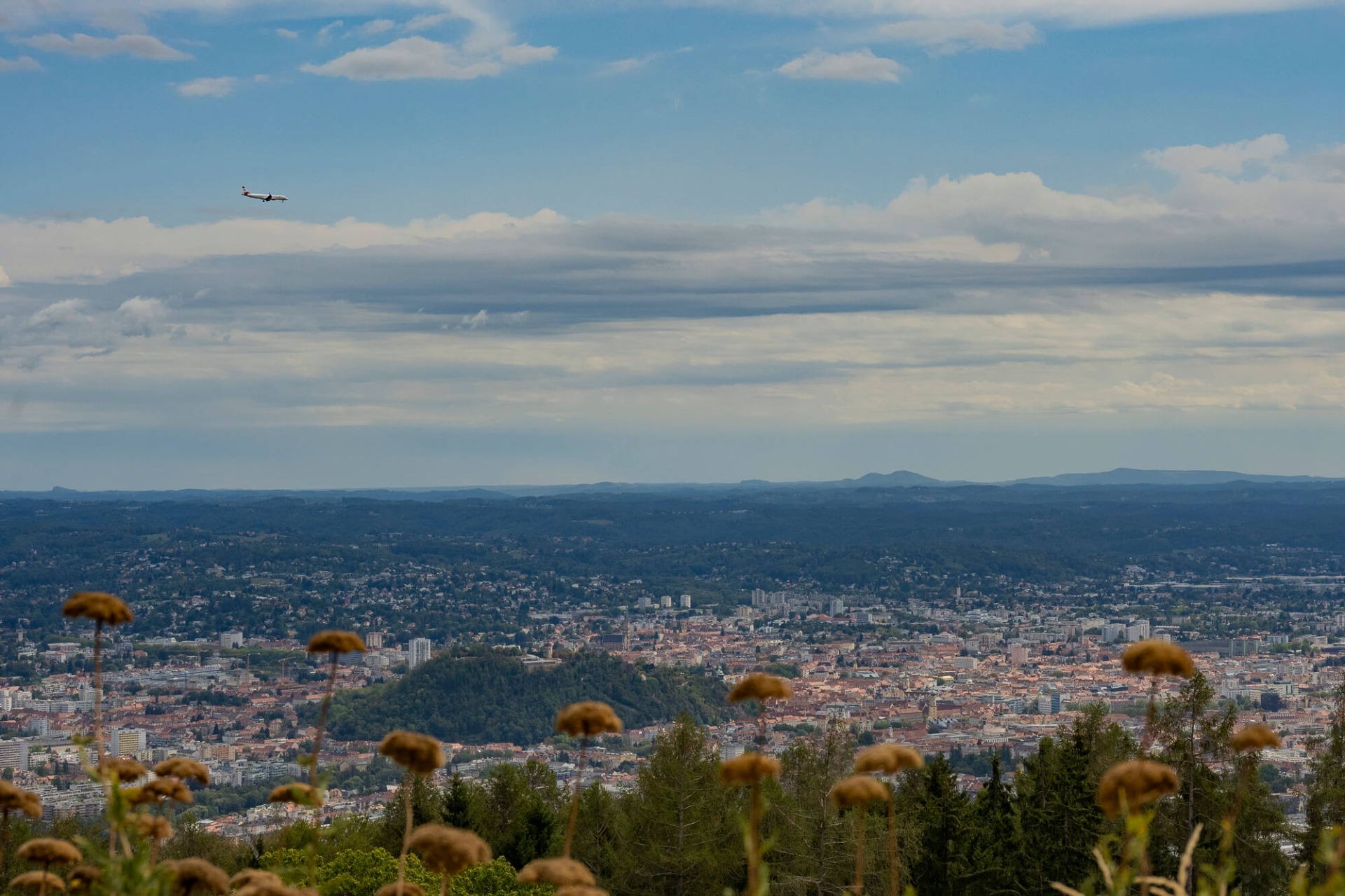 Flugzeug am Himmel über einer Stadtlandschaft, im Vordergrund unscharfe gelbe Blüten und Bäume.