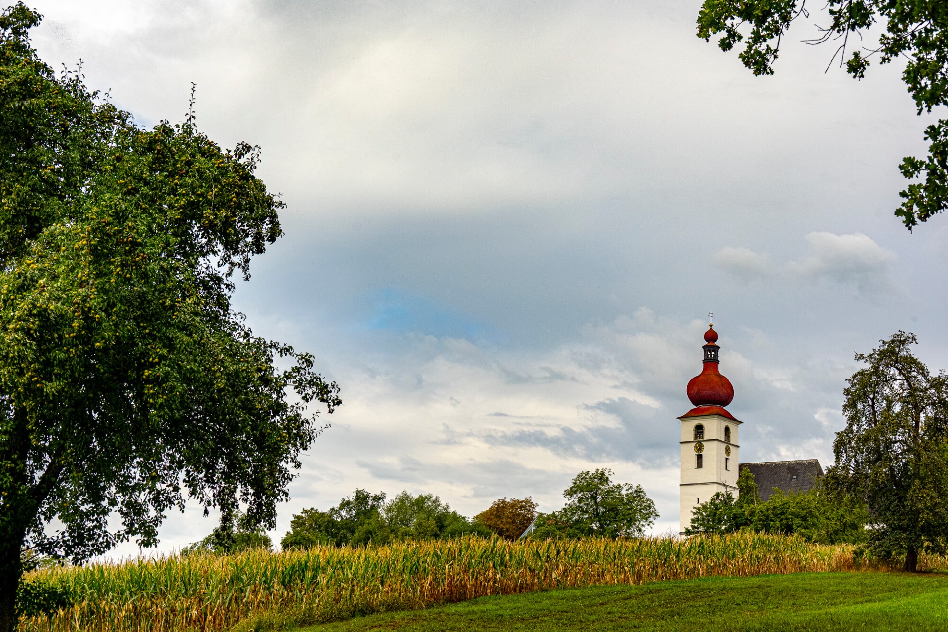 Kirchturm mit roter Zwiebelhaube und Uhr, umgeben von Bäumen und Wiese unter bewölktem Himmel.