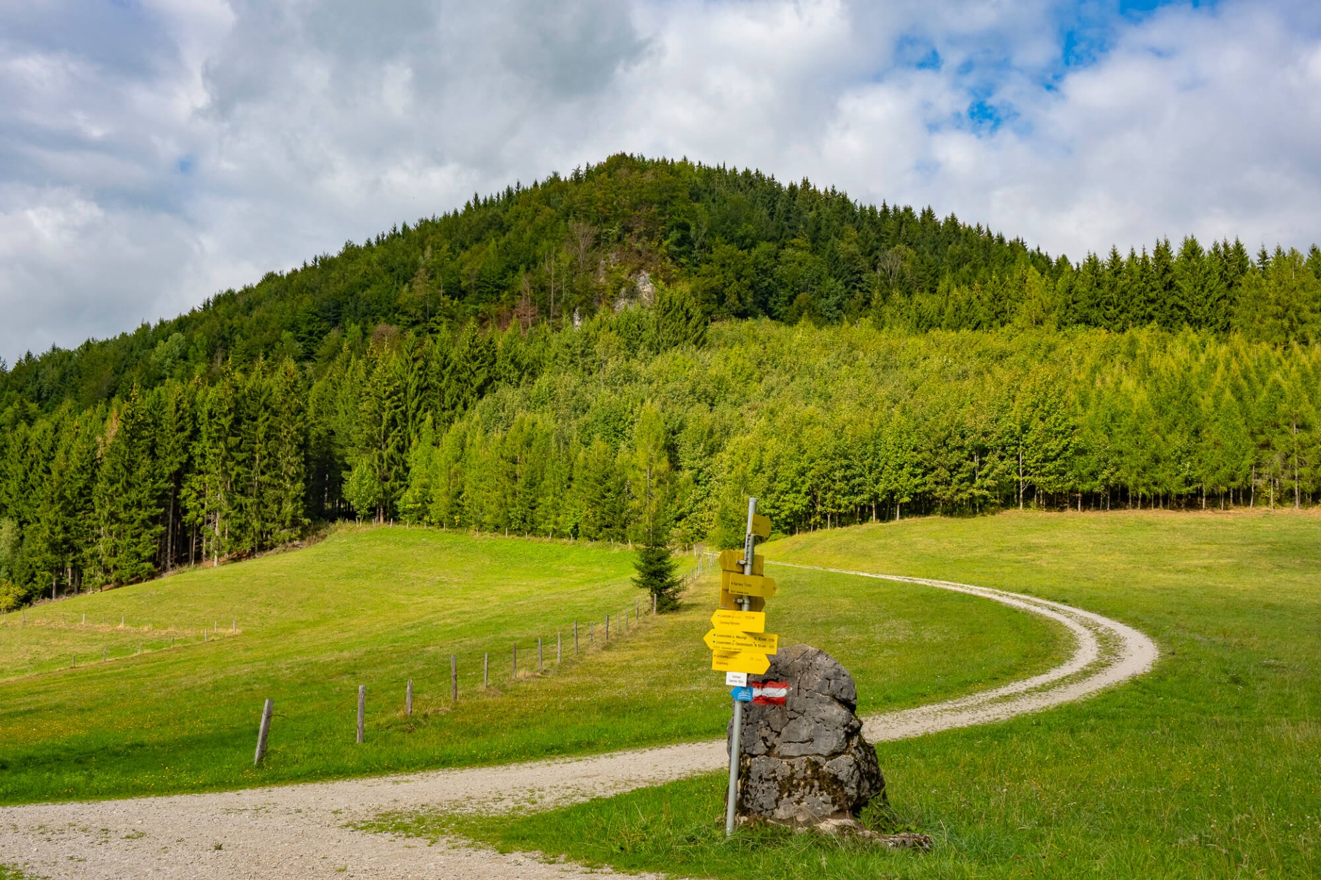 Grüner bewaldeter Hügel mit Wiesenweg, Wegweiser-Schildern und gewölktem Himmel im Hintergrund.