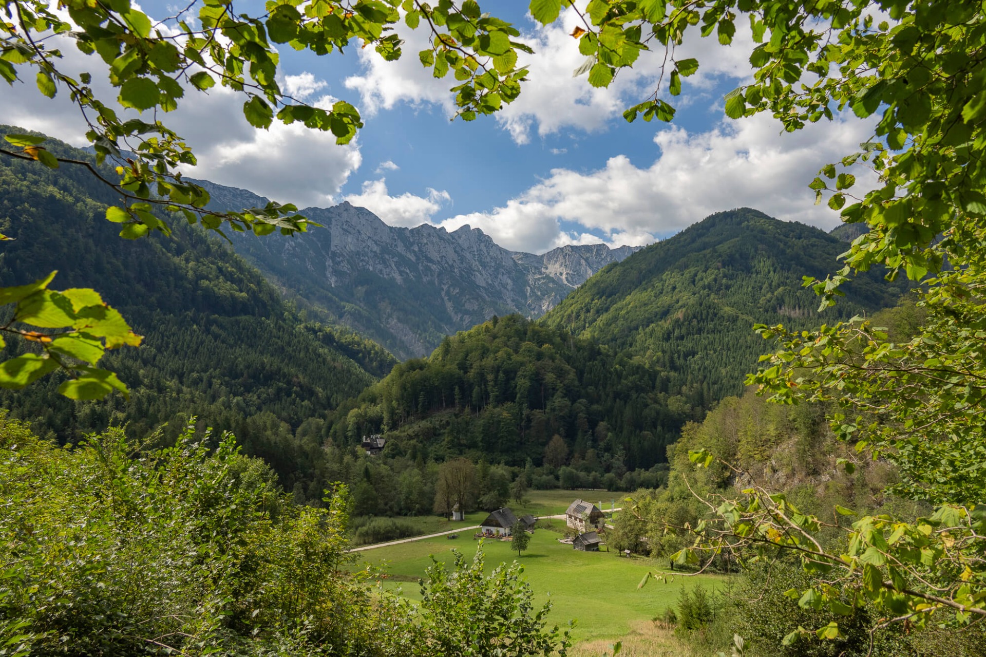 Blick ins Alpenvorland: grüne Blätter im Vordergrund, Tal mit Wiesen und Häusern, dahinter hohe Berge.