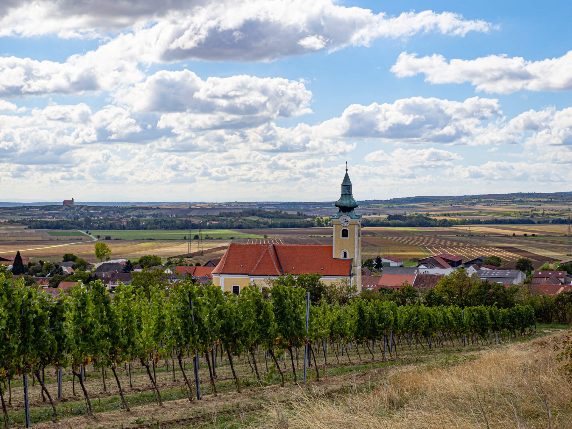 Weinberge mit Reihen, im Vordergrund eine Kirche mit rotem Dach und grünem Turm unter Wolkenhimmel.